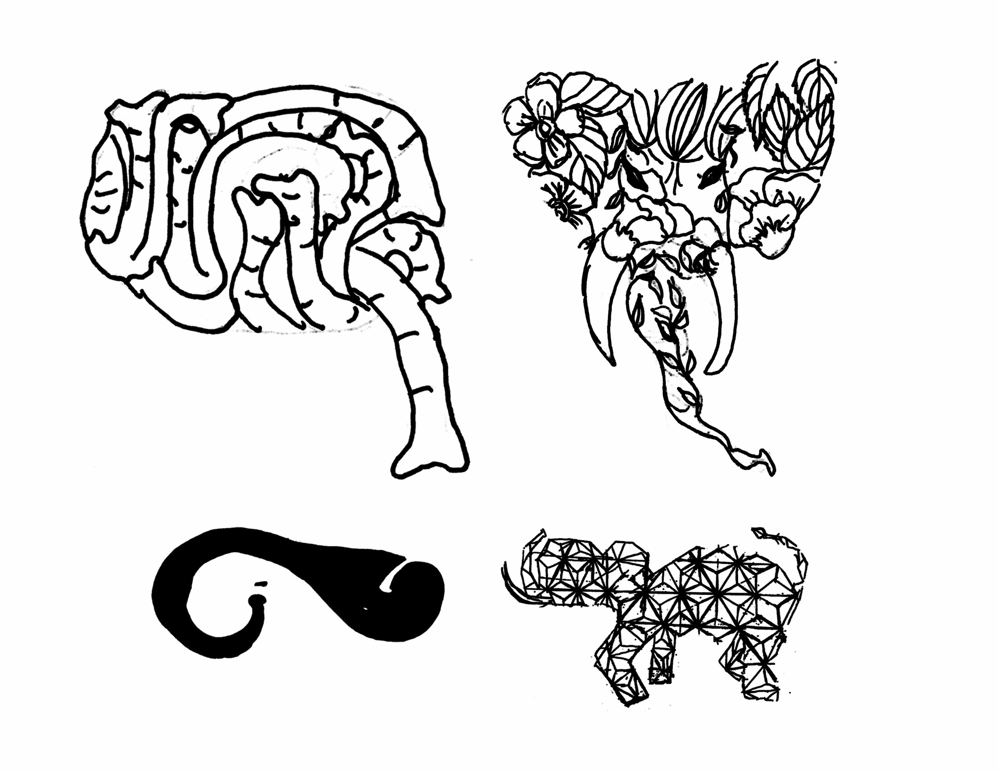 Top 4 elephant sketches